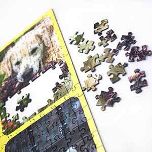 Puzzle de Colagem de Fotos 500 peças - 500 Peças