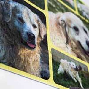 Puzzle de Colagem de Fotos 500 peças - €  20.99