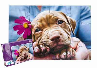 Puzzle 12 XXL peças