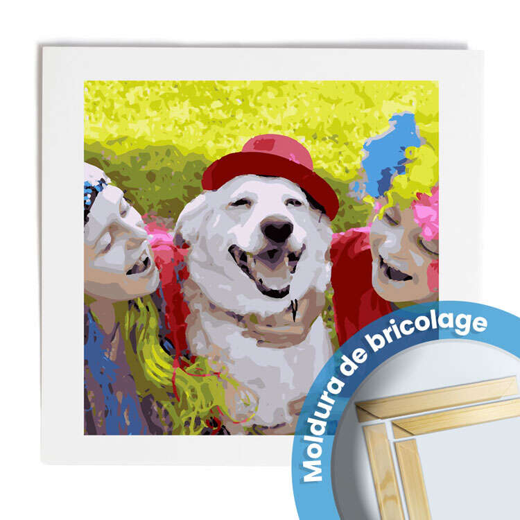 Pintura por números personalizada